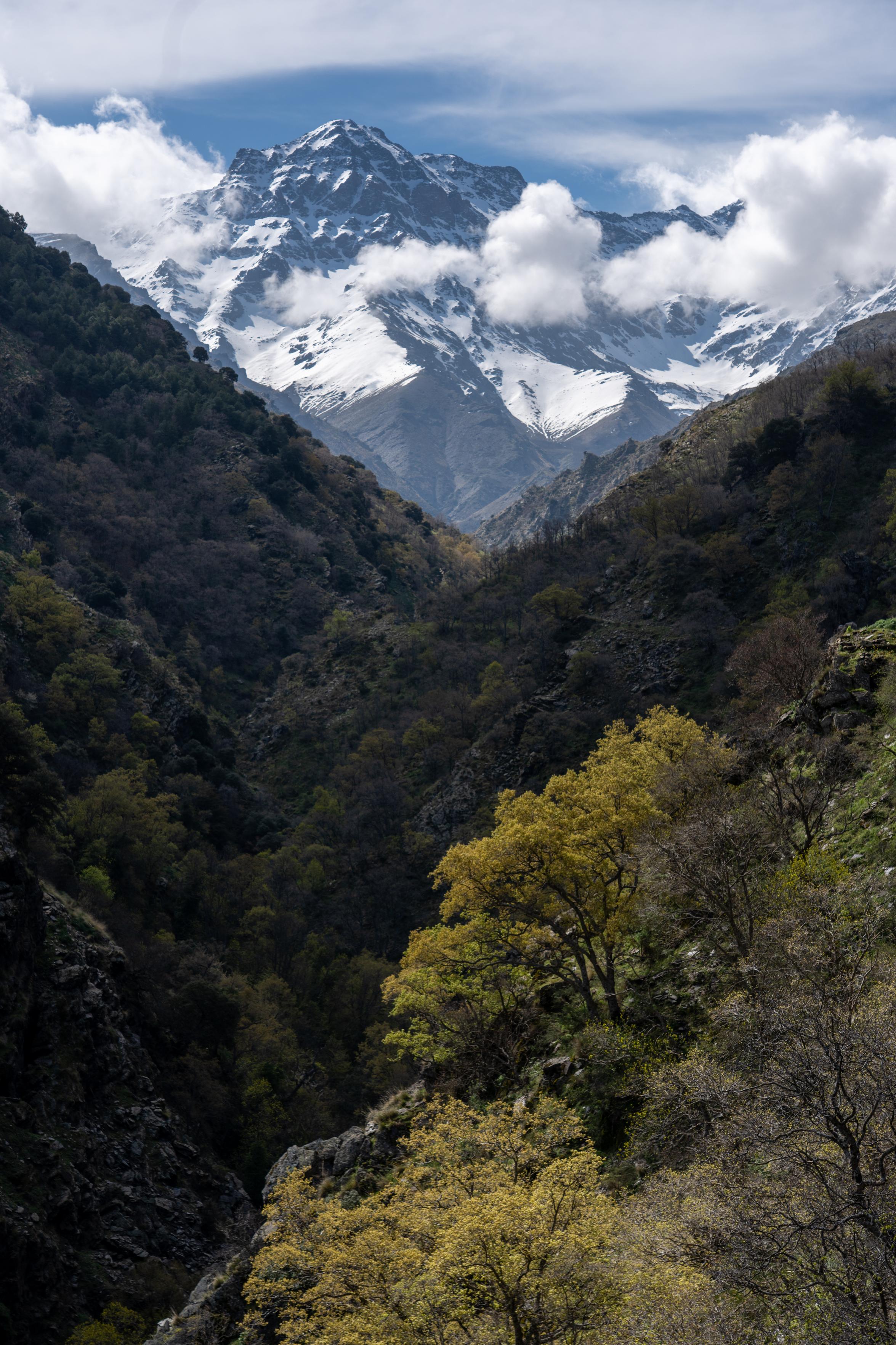 A heavily wooded river valley lined with colorful trees leads to a huge snow and ice face and mountains with cloud