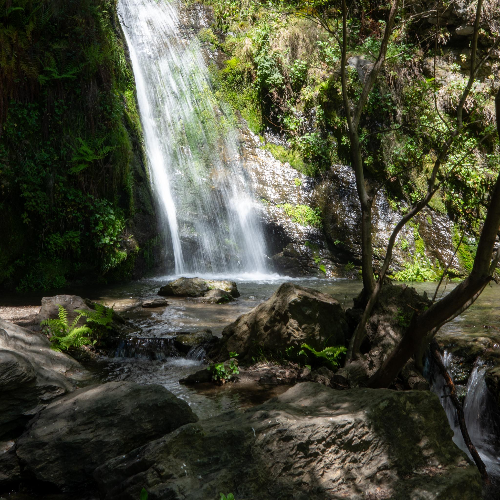 Lush green scenery along a river with a large waterfall falling down the canyon