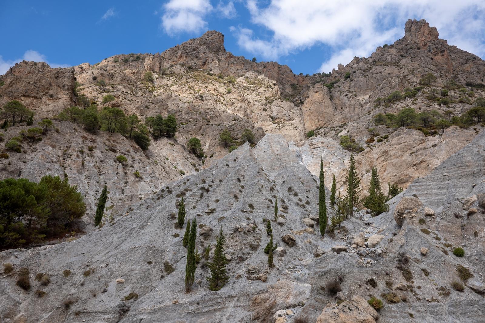 Rough arid peaks drop down in a series of barrancos to the valley floor with a few trees emerging from the stones