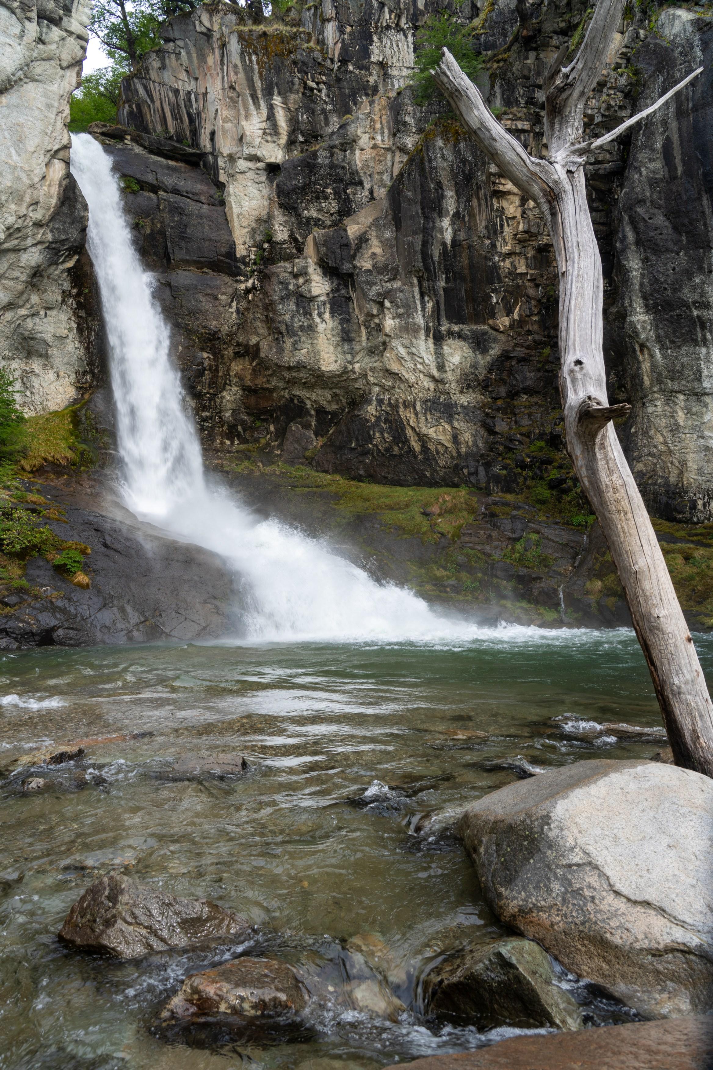 The Chorrillo del Salto waterfall, El Chalten. Broken, bare tree in foreground with water splashed rocks at base