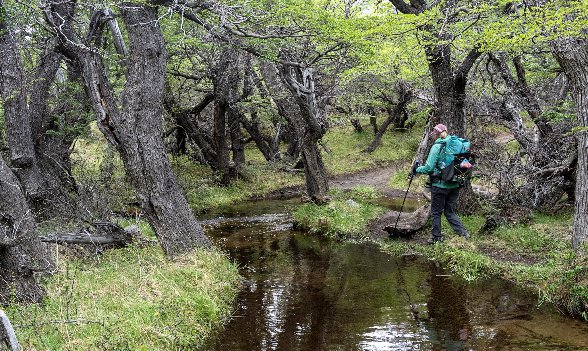 Avoiding some of the non-bridged boggy sections of the trail