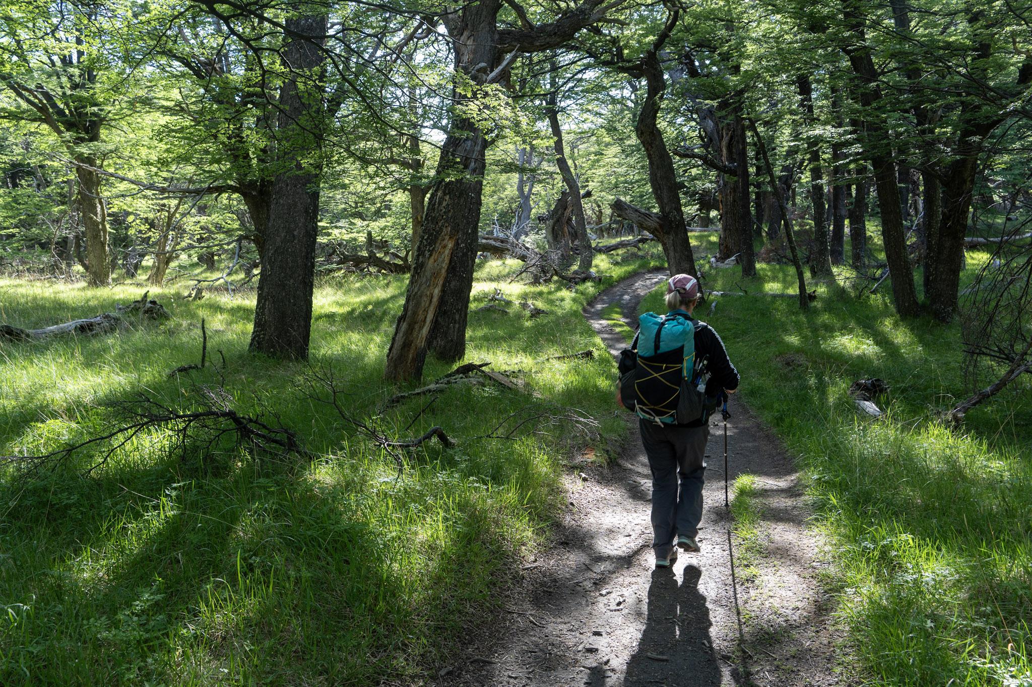 Morning sunlight coming through the trees as we follow the path to Ref Piedra del Fraile