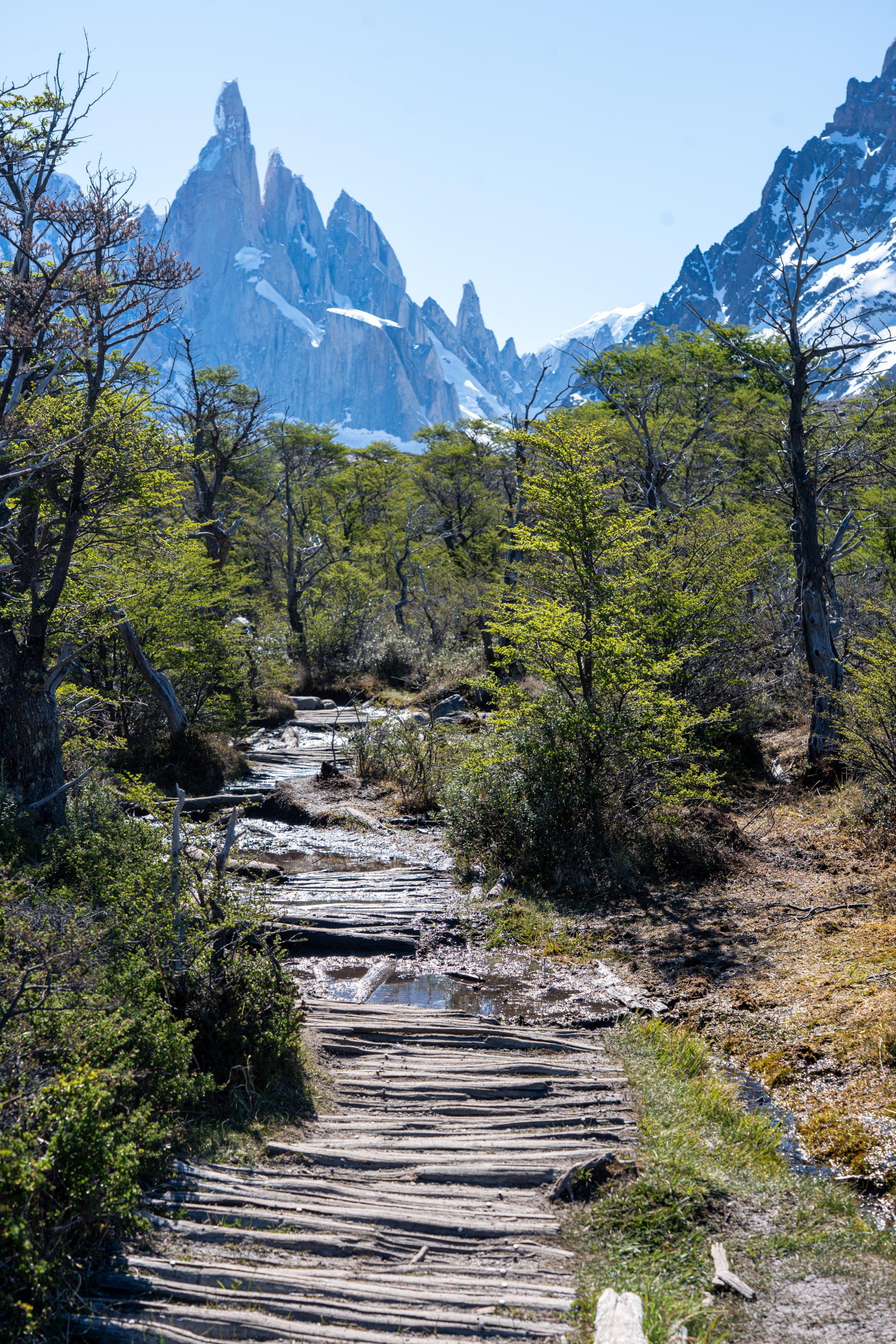 Laguna Torre trail