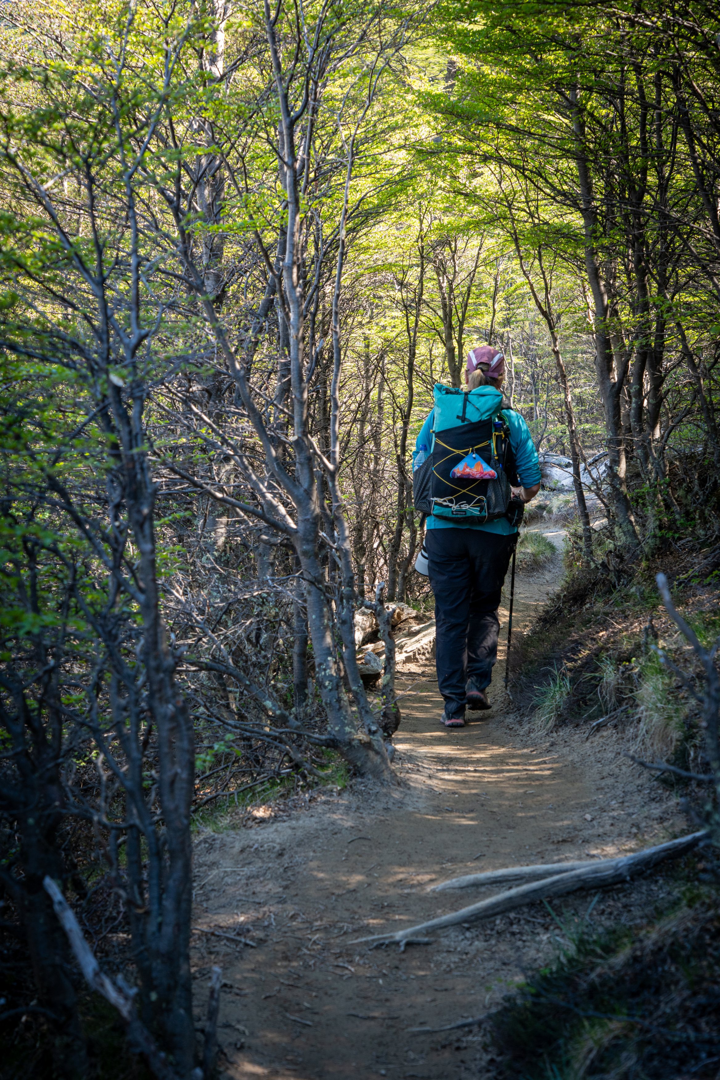 Well maintained trails
