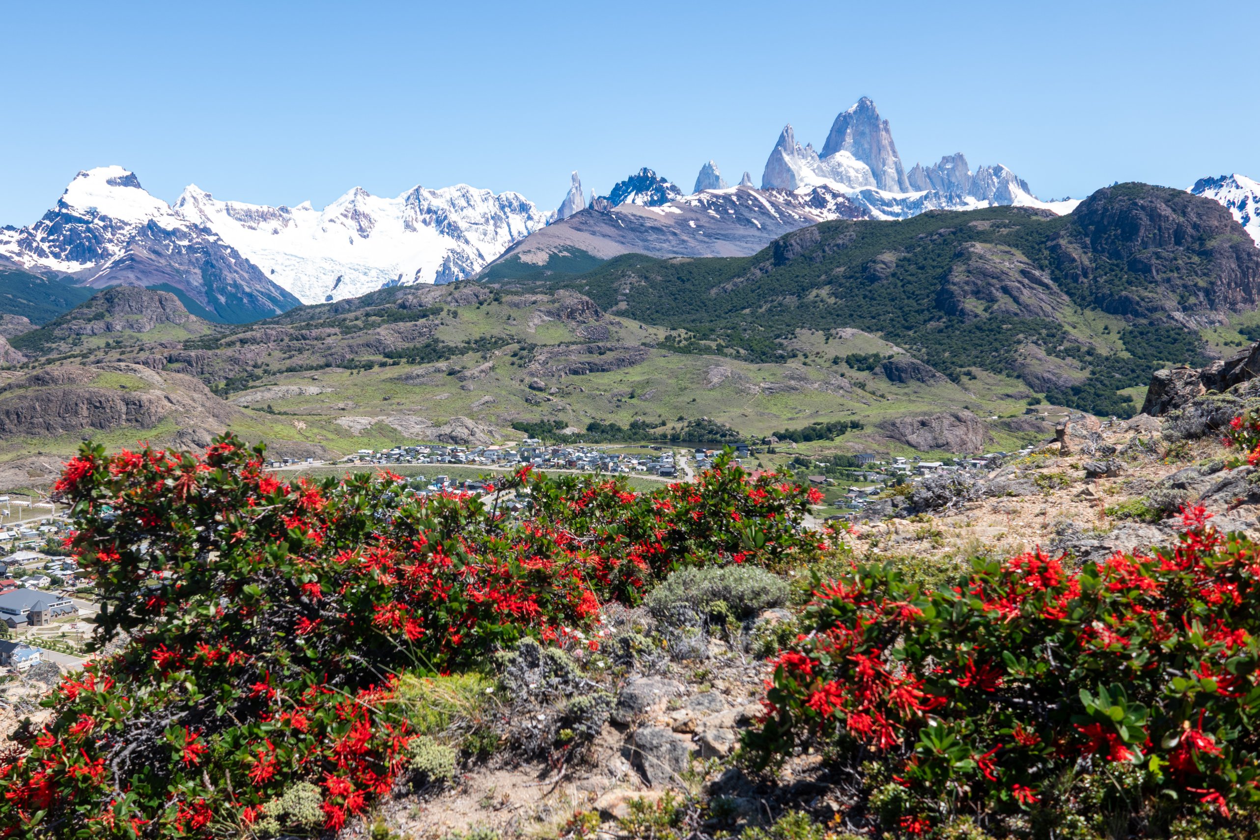 View over el Chalten