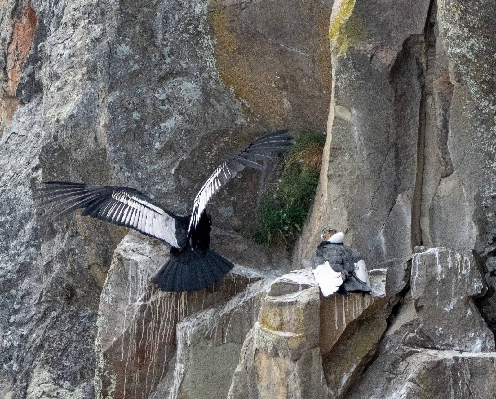 Cindy on the left arriving at the family home after work